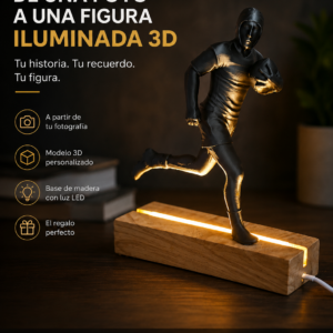 Figura 3D Personalizada con Luz LED a partir de tu Fotografía